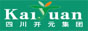 四川省開元集團(tuán)有限公司